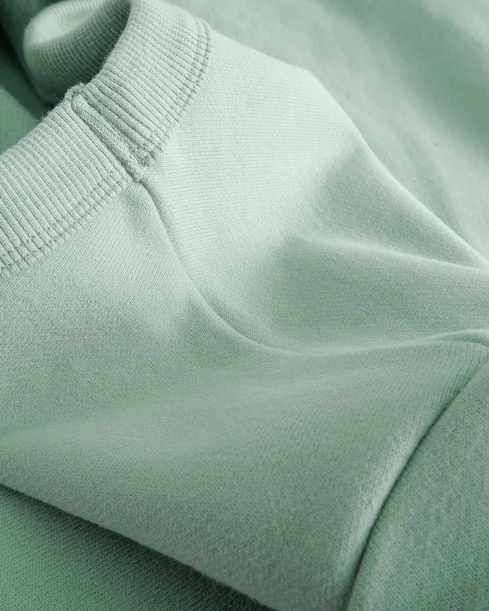 Mint Lake Unisex Oversized Crewneck